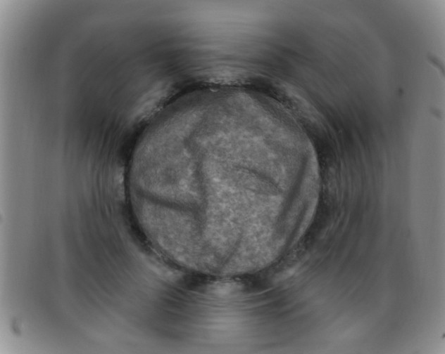 X0000097510696200803142041