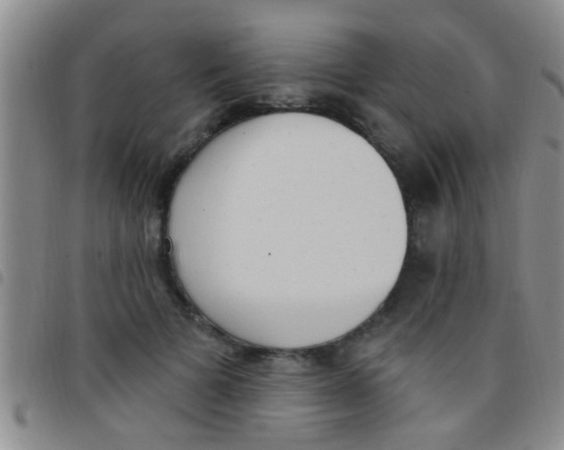 X0000097510697200803142041