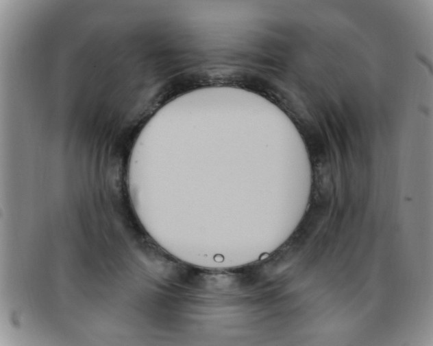 X0000097510698200803142041