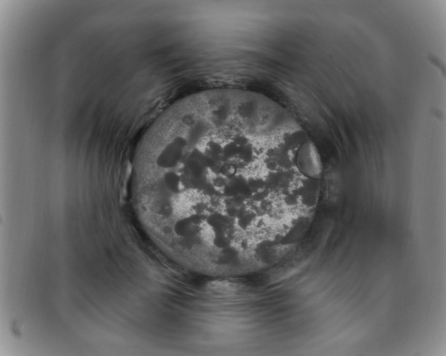 X0000097510699200803142041