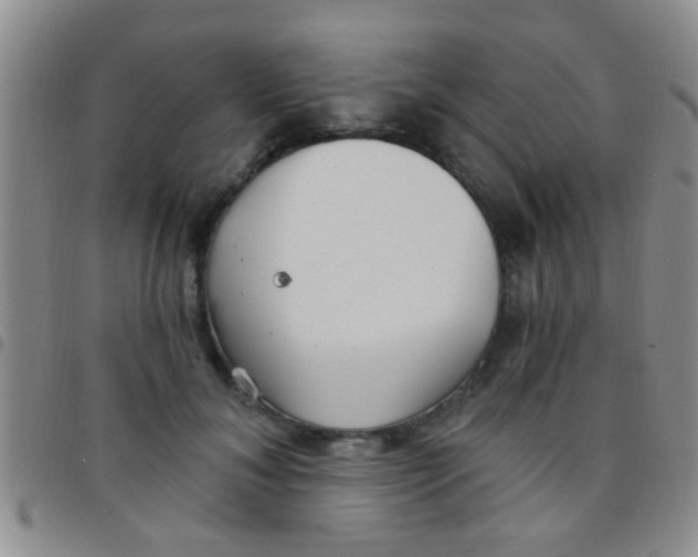 X0000097510700200803142041