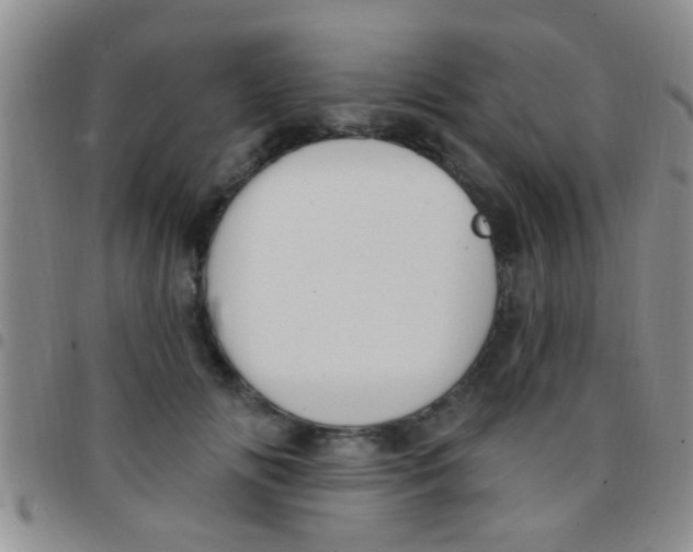 X0000097510702200803142041