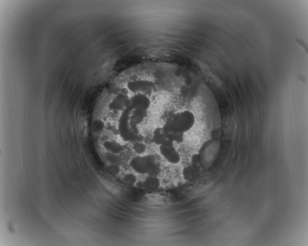 X0000097510703200803142041