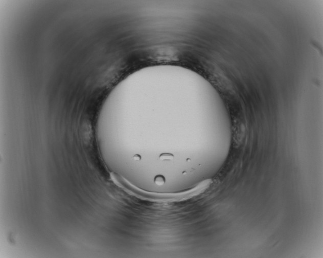 X0000097510704200803142041