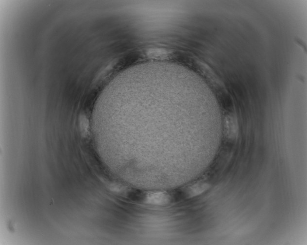 X0000097510705200803142041