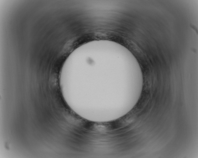 X0000097510706200803142041