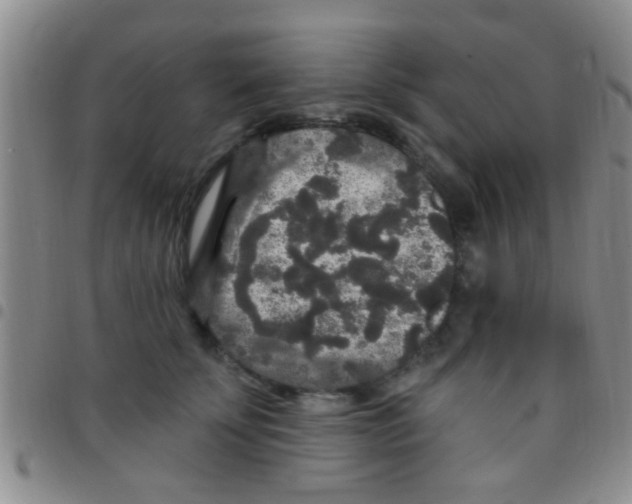 X0000097510707200803142041