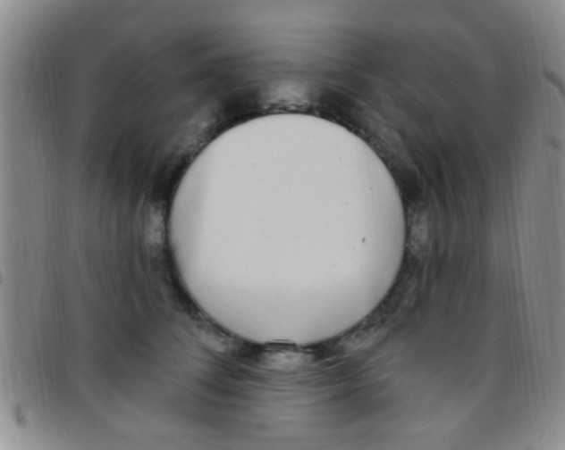 X0000097510708200803142041