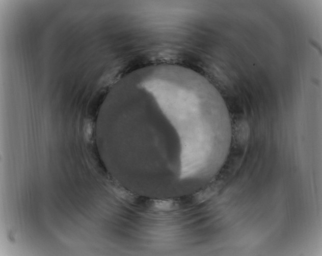 X0000097510709200803142041