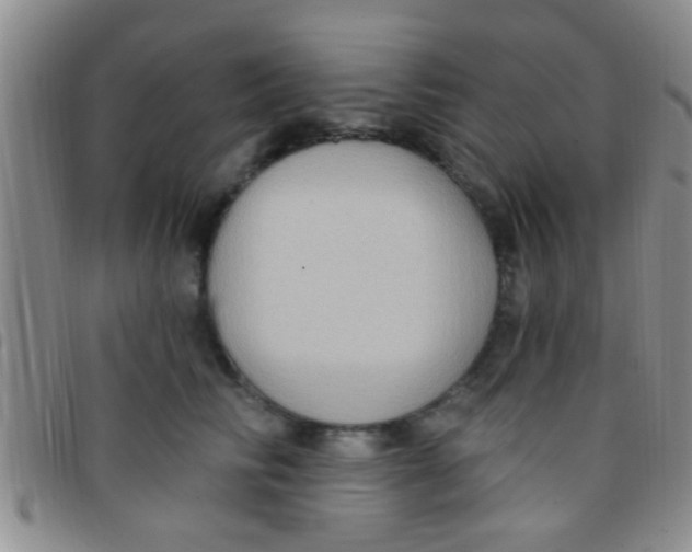 X0000097510710200803142041