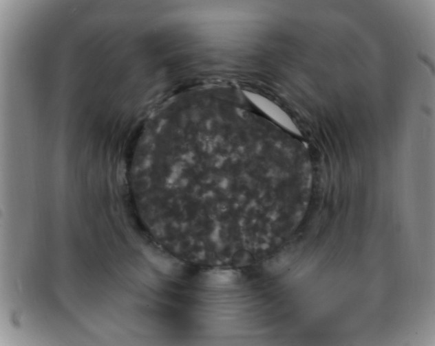 X0000097510711200803142041