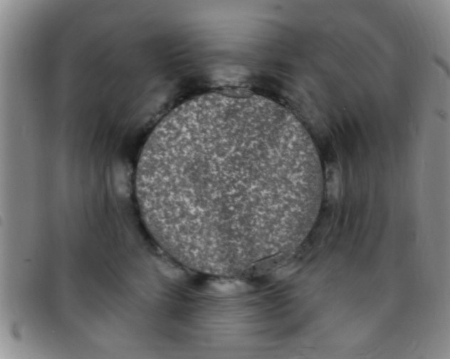 X0000097510712200803142041