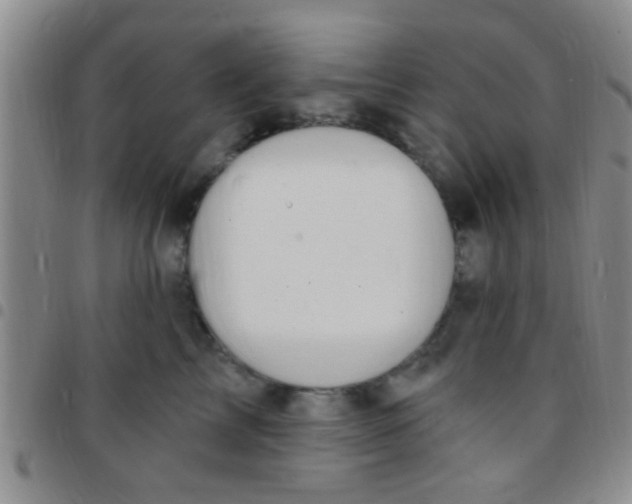 X0000097510713200803142041