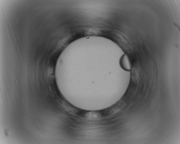 X0000097510714200803142041