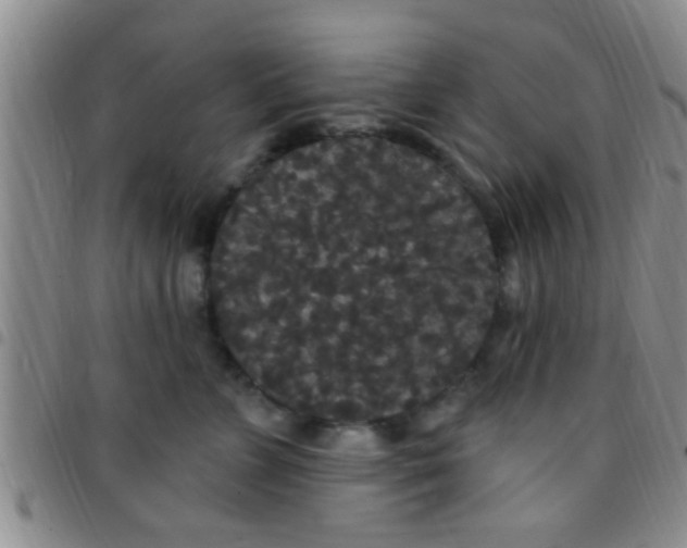 X0000097510715200803142041