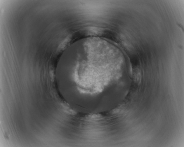 X0000097510716200803142041