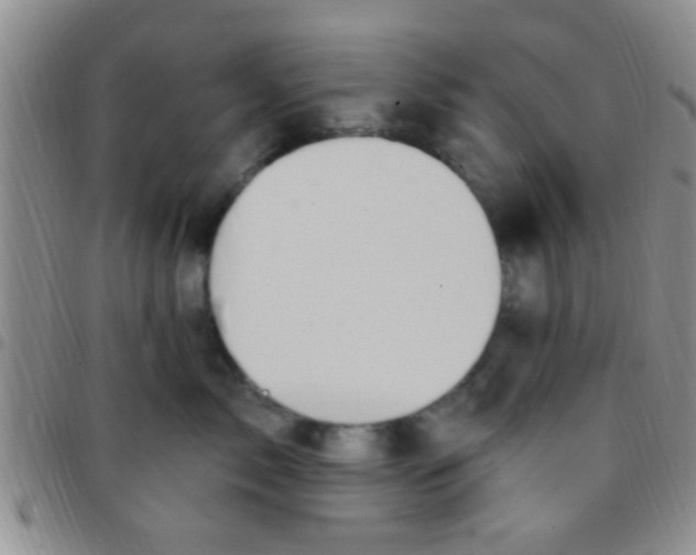 X0000097510717200803142041