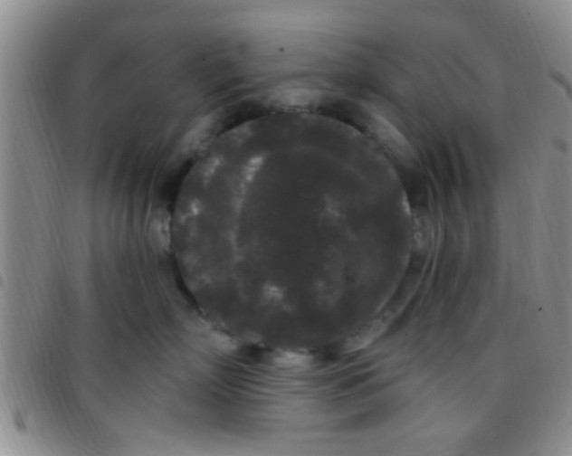 X0000097510718200803142041