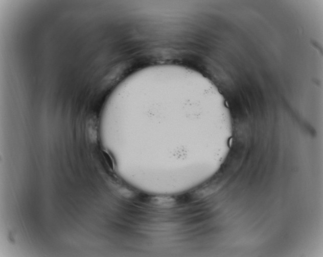 X0000097510719200803142041