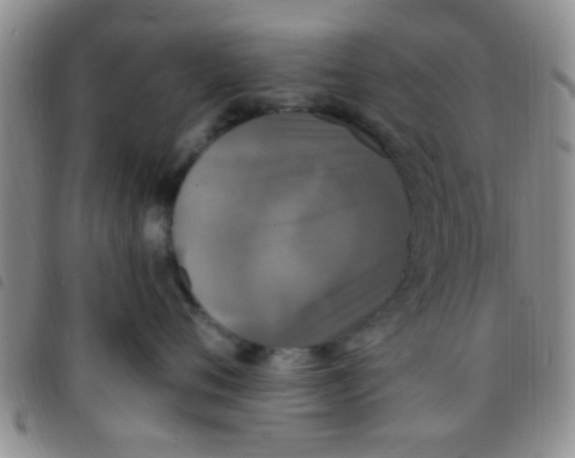 X0000097510720200803142041