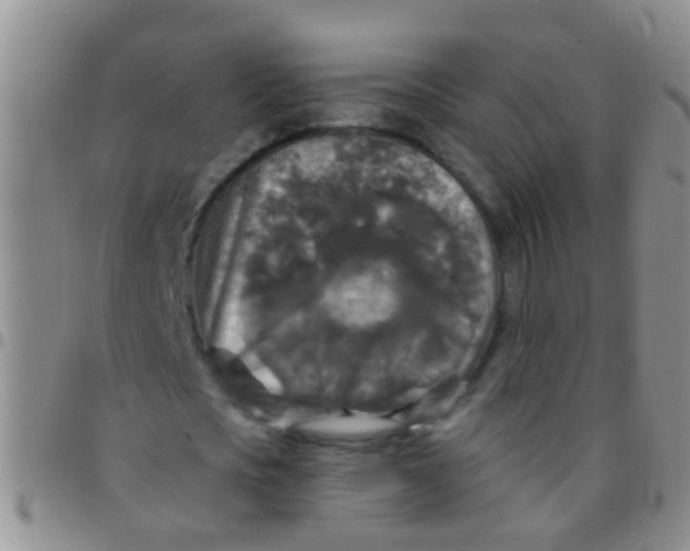 X0000097510721200803142040