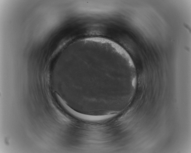 X0000097510722200803142040