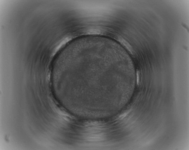 X0000097510723200803142040