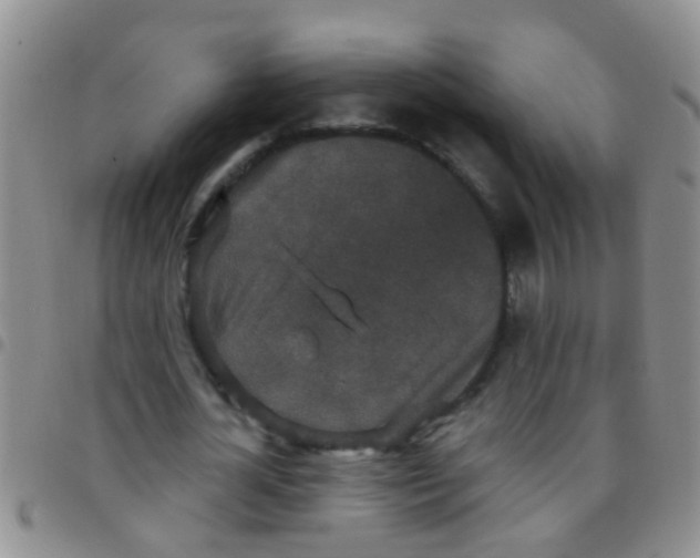 X0000097510724200803142040