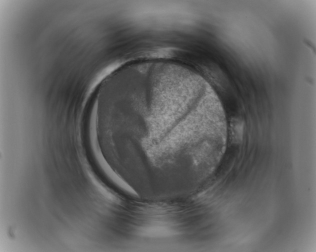 X0000097510726200803142040