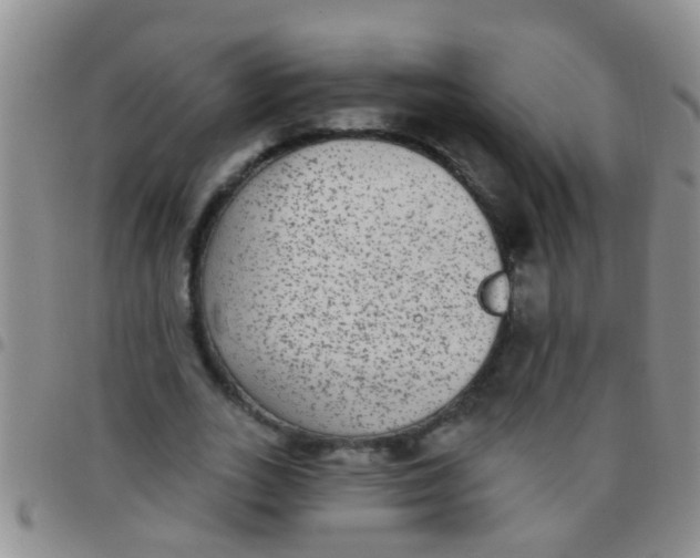 X0000097510727200803142040