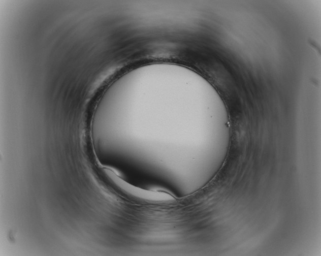 X0000097510728200803142040