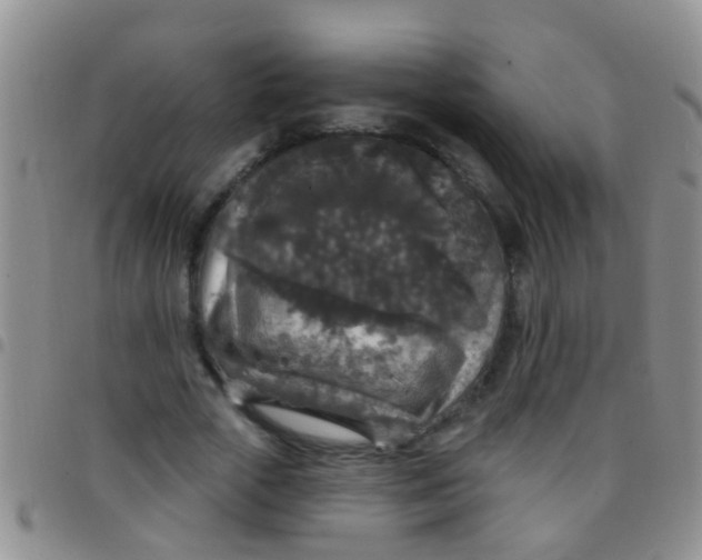 X0000097510729200803142040