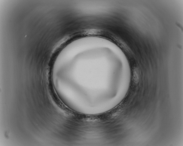 X0000097510730200803142040