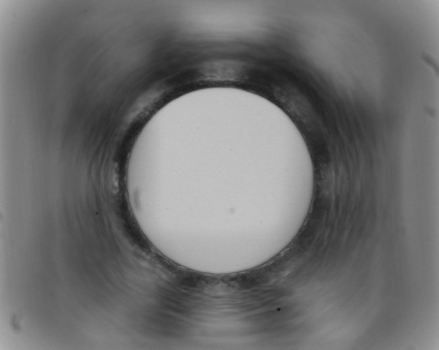 X0000097510731200803142040