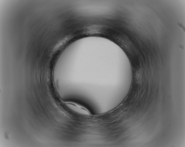 X0000097510732200803142040