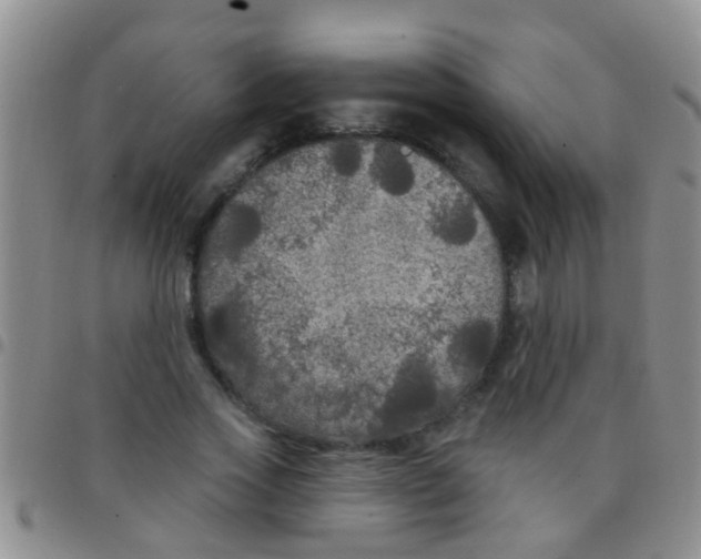 X0000097510733200803142040