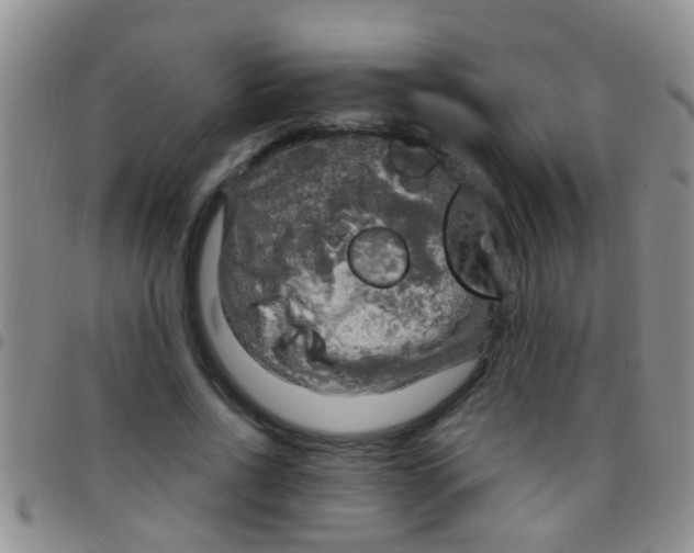 X0000097510734200803142040