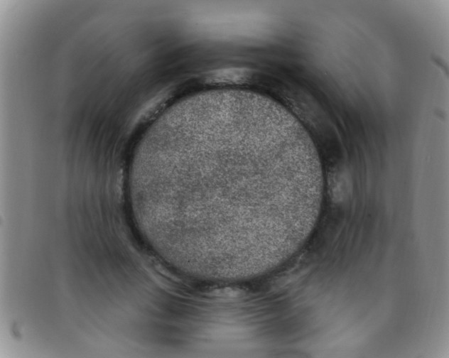 X0000097510735200803142040