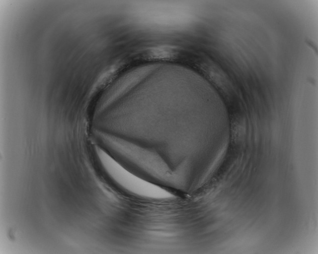 X0000097510736200803142040