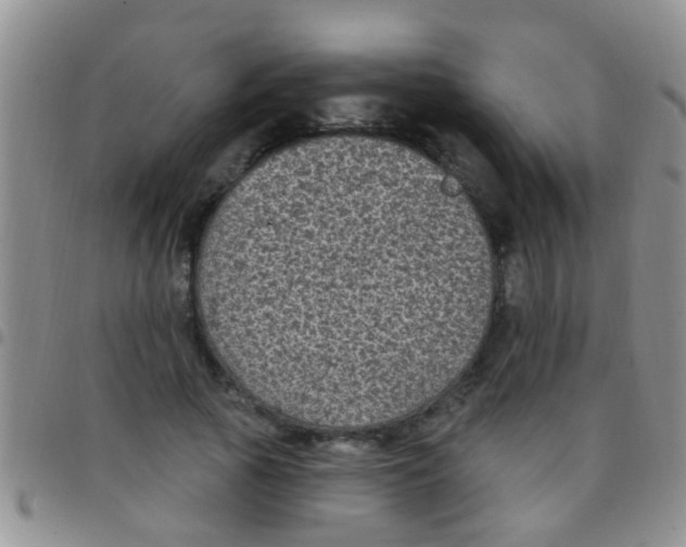 X0000097510737200803142040