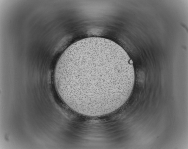 X0000097510738200803142040