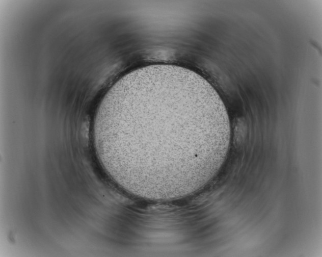 X0000097510739200803142040