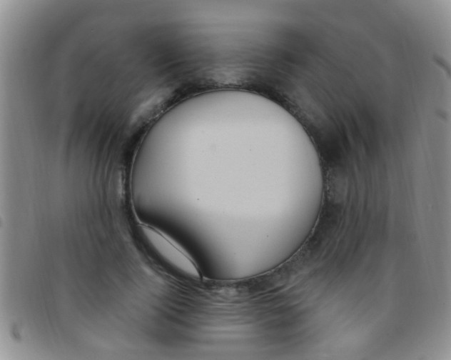 X0000097510740200803142040