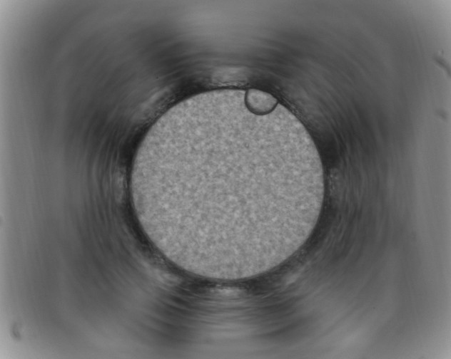 X0000097510741200803142040