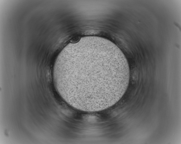 X0000097510743200803142040