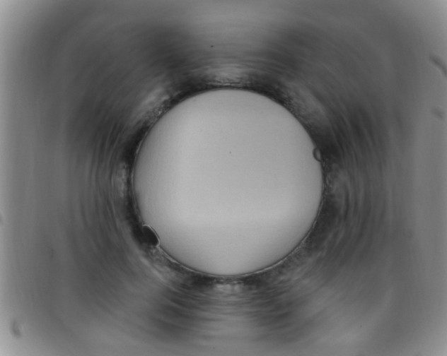 X0000097510744200803142040