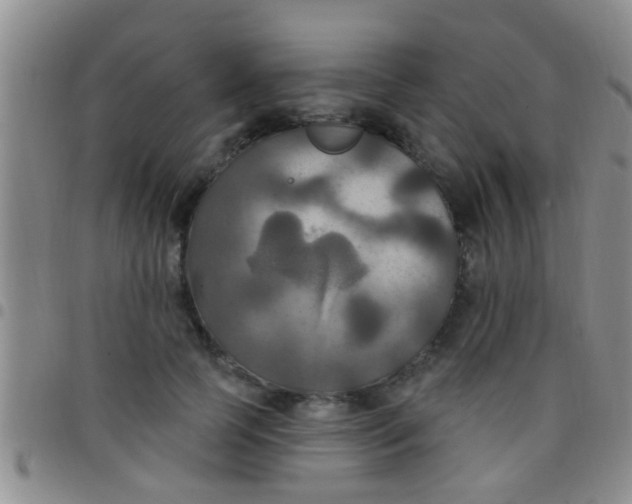 X0000097510745200803142040