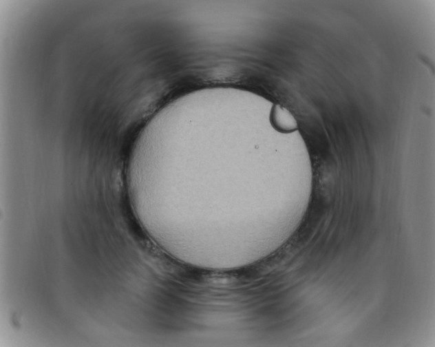 X0000097510746200803142040