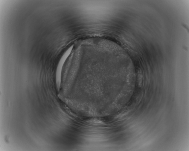 X0000097510747200803142040