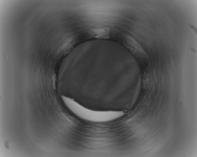 X0000097510748200803142040